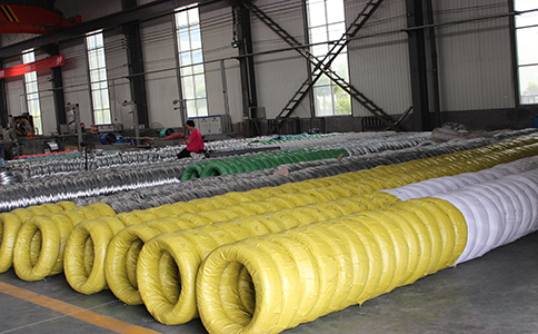 IMG_8424.jpg IMG_8424.jpg