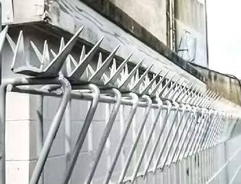 p型彎特點(diǎn)